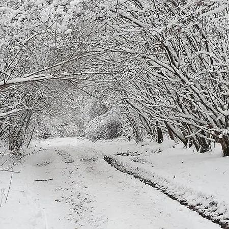 Vakantiehuis Am Seeblick Grill, Garten, Billiard, Dart, Bike, Sauna Ww-seeblick *