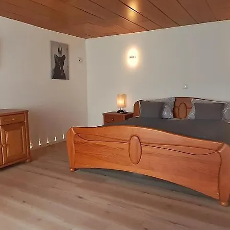 Am Seeblick Grill, Garten, Billiard, Dart, Bike, Sauna Ww-seeblick Vakantiehuis *