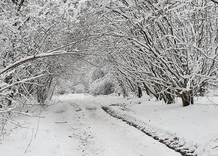 펜션 Am Seeblick Grill, Garten, Billiard, Dart, Bike, Sauna Ww-seeblick *